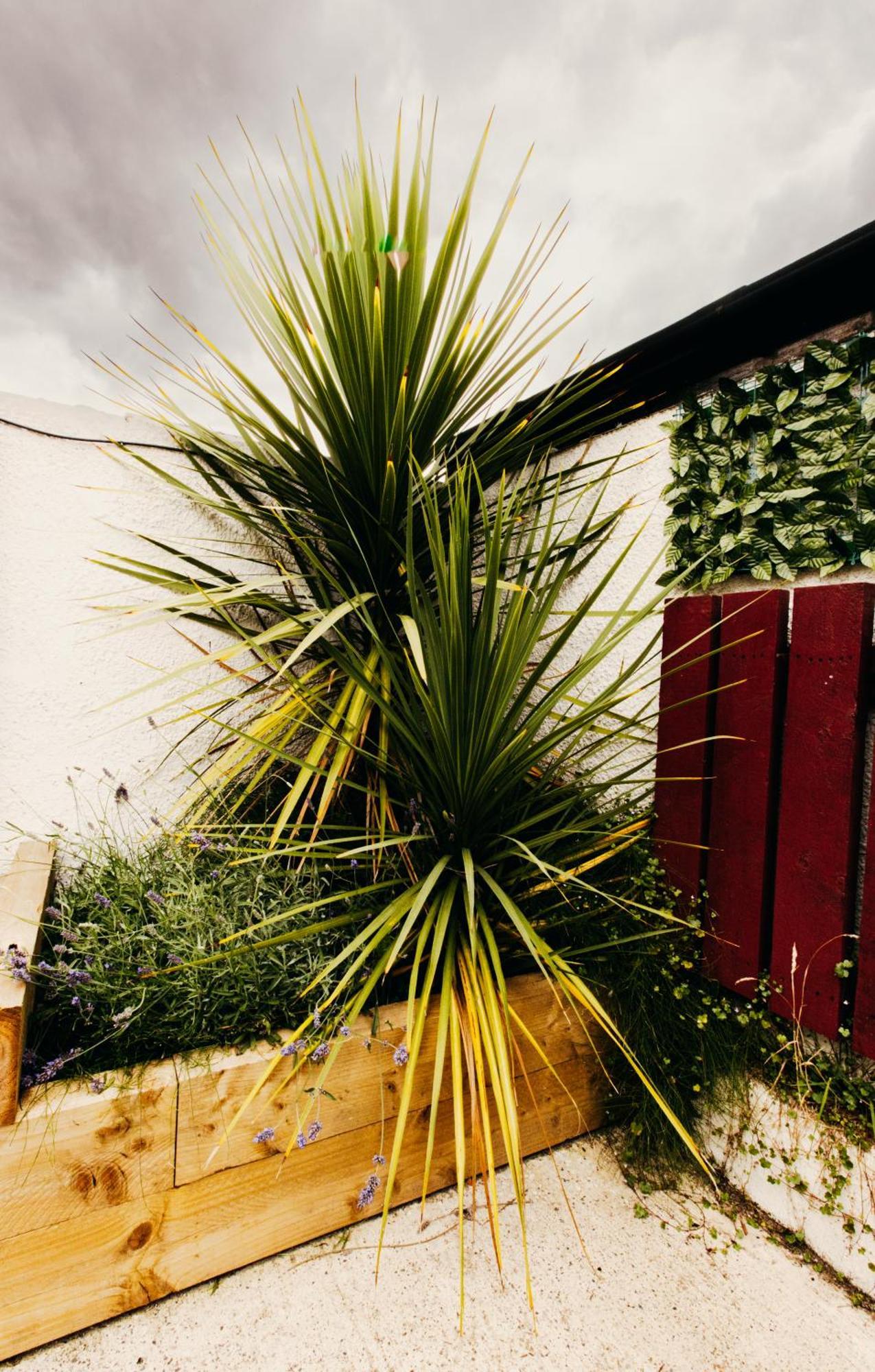 Friars Bush House Belfast - Stunning 4 Bedroom Detached House In Exclusive Queens Quarter Luxury Belfast City Centre Екстер'єр фото